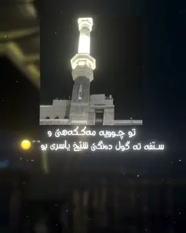 ياسر الدوسري  #فوريو #القران_الكريم_راحه_نفسية😍🕋 #اكسبلور #foryoupage #ياسر_الدوسري_إماما_للحرم #fypシ゚ 