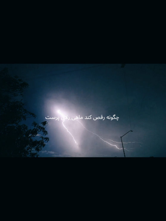 ولی شب تو جنگل هوای بارونی با این آهنگ.... #fyp #حبیب #ایران #موزیک #ادیت  #طوفان_دریا  #vio #foryoupage  #mosic  #نوستالژی 