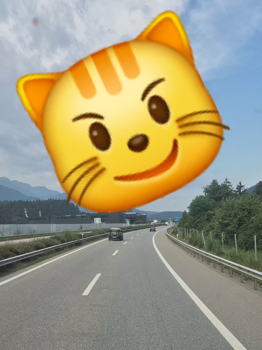 Zboară puiule zboară! 😁🙃 #fy #videotiktok #videoviral #fyyyyyyyyyyyyyyyy #viral #goodvibes #romania #happiness #😜 