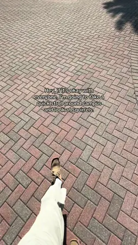 We do this on a daily basis… 🐿️🚶 #college #student #studentlife #collegelife 