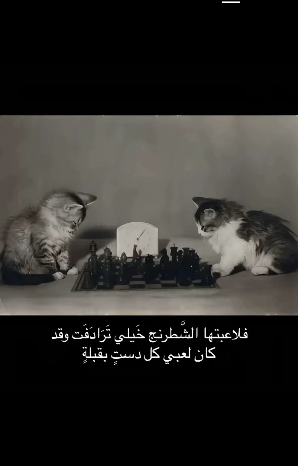 #chess #briliant 