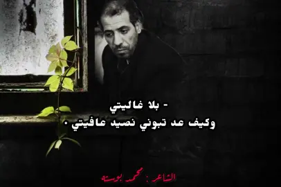 بلا غاليتي #محمد_بوسته النبره لوله #جنازه_ونمشي_للعرب_ويجوني_بلا_امنايتي #احميده🔝 #الشاعر_محمد_بوسته #تصميم_فيديوهات🎶🎤🎬 #مصمم_فيديوهات🎬🎵 #شعراء_وذواقين_الشعر_الشعبي #صوب_خليل_خلق_للجمله🎶❤🔥💔💔 #عالفاهق #مصر #مطروح #ليبيا #برقه #الجبل_الاخضر #المرج #طبرق #البيضاء #القبه #درنه #كرسه #اجدابيا #لبرق #القيقب #المخيلي #اكسبلور #capcut #كاب_كات #USA 