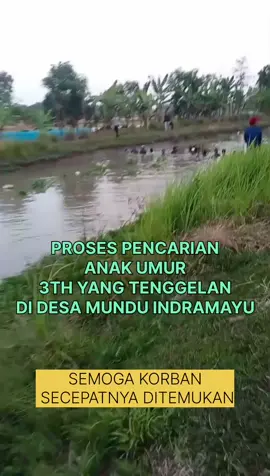 ANAK KECIL TERJEBUR DIKALI INDRAMAYU #ANAKTERJEBURMUNDU #ANAKTERJEBURDITEGALMUNDUKARANGAMPELINDRAMAYU #PENCARIANKORBANTENGGELAMDIKALIMUNDU #TENGGELAMANAKKECILINDRAMAYU #PROSESPENCARIANAKKECILTENGGELAMINDRAMAYU