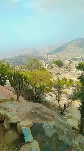 #ص 
