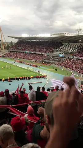 🗣️DECIME BOCA QUE PASÓ EN MAR DEL PLATA👋🏼🐔