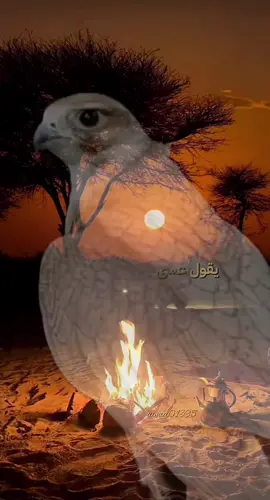 #الوافي 