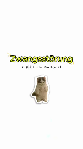Zwangsstörung - erklärt von Katzen #cat #catanimation #zwangsstörung 