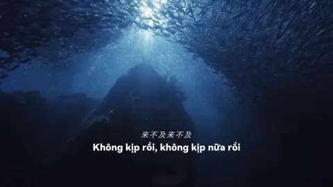 Dưới biển lạnh lẽo lắm 😭 #rusheng_team #nhactrungquoc #trending #daybien #lyrics 