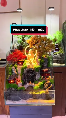 Tiểu cảnh thác nước Phật giáo #ngocaquadesign #tieucanh #phatphap #paludarium #tieucanhphat 