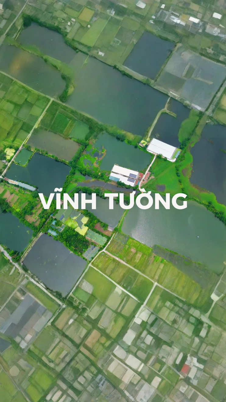 Test em bé mini 3 #flycam #dji #mini3 #vinhphuc #xuhuong 