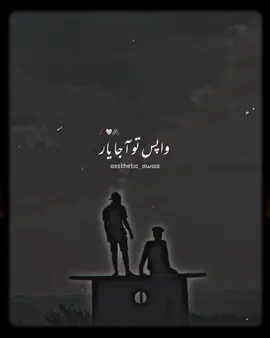 Wapis To Aja Yawr 😫  #foryou #foryoupage #aesthetic_awais #unfreezemyacount #growmyaccount✅ #viral #goviral #100k #4u #standwithkashmir 