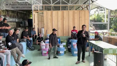 pembenah tanah bisa membuat sendiri