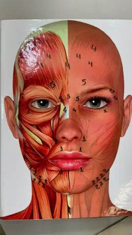 O botox da sua clínica fica natural? #fullface #cursosonline #harminizacaofacial #laserco2 #seryntox #fiosdepdo #cursoharmonizacaofacial #congressohof #plataformadehof #goldplay #ciosp 