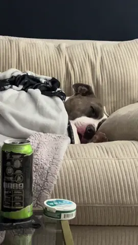 My shadow 🖤 #pitbull #pitbullsoftiktok #dogsoftiktok #doglover #dogmom #pitties #pibblesoftiktok #dogtok #doglife #rescuedog #adopt  @Tristin 