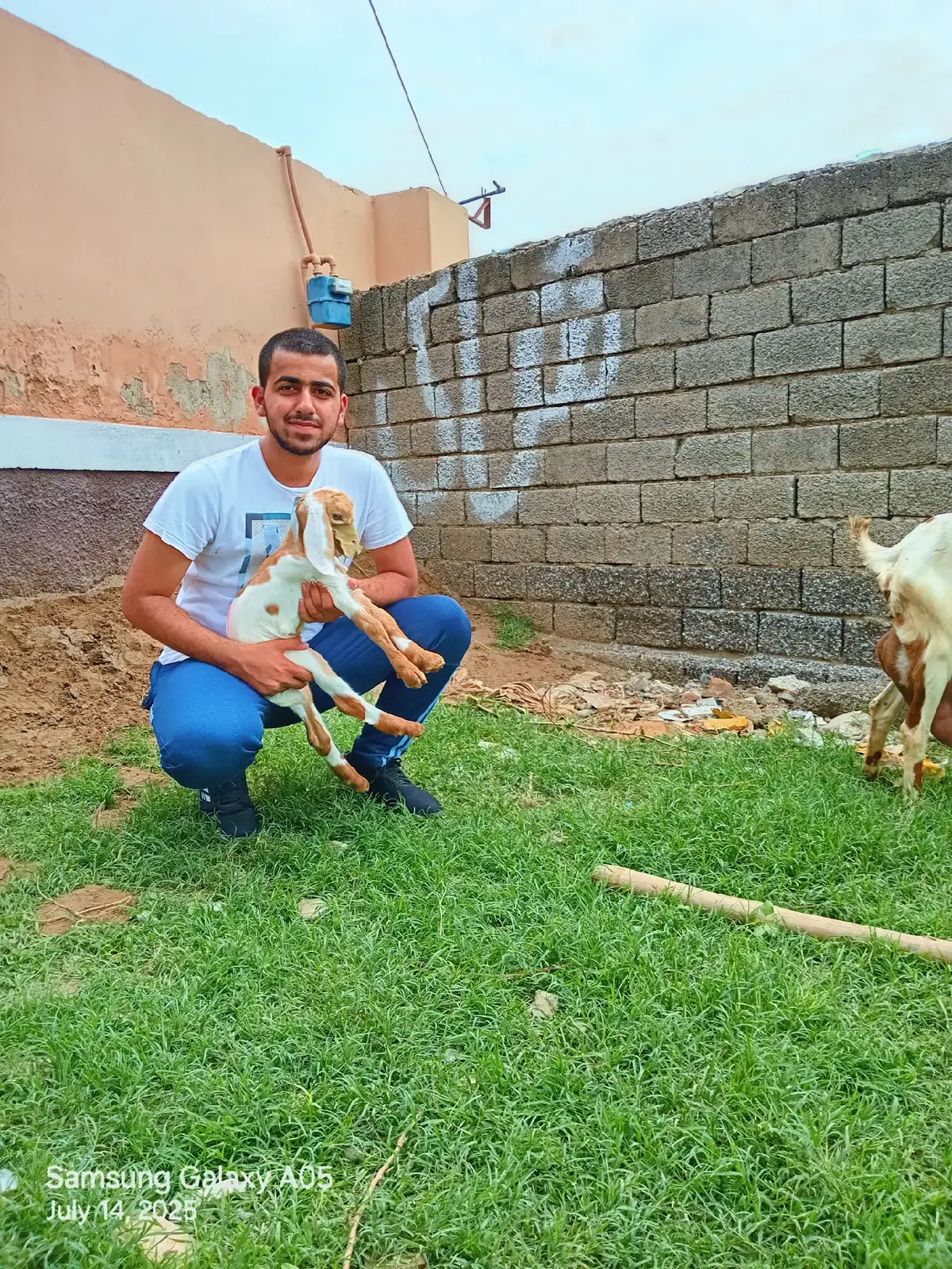 Allhumdullilah  say mashallah 🙌 ❤️  #baby #goat #gondal #mandi  #gondalmandi 