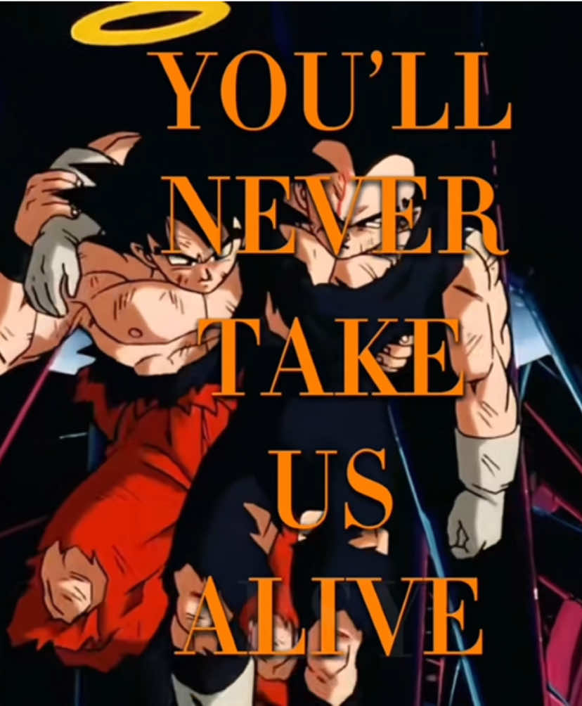 Gogeta VS Janemba  #dragonballz #dragonball #gogeta #goku #vegeta #janemba #anime #edit #fyp 