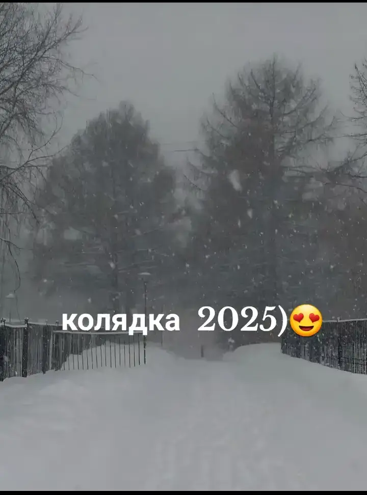 #нова колядка