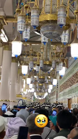 #اسمع_للاخر #المدينة_المنوره #الروضة_الشريفة #مكة @صالح القهّار @المداح ياسر الشاماني @♧♤<الهيبه>🦅 @بهاء السامرائي