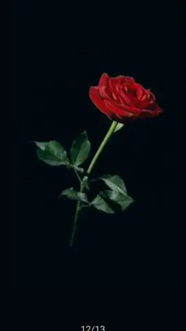 #mawarmerah#slank #slanky #slankers #piss 