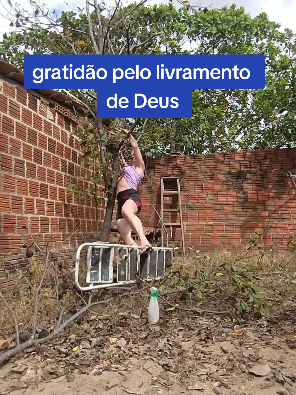 gratidão pelo livramento 🙌#escada #queda #acidente #poda #arvore #livramento 