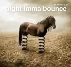 honse bro honse