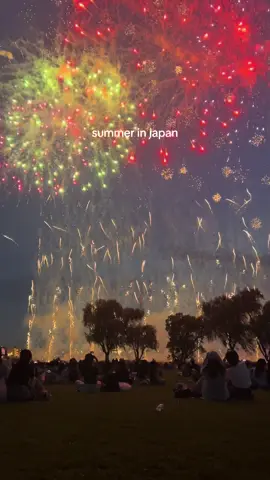 Stunning✨🎆🌴#Summer #japan #fireworks 