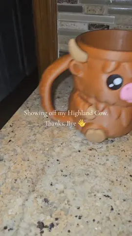 Replying to @rownay1 link above #freeshipping #tiktokshop #tiktokmademebuyit #icecreamlover #icecream #icecreamholder #dealsforyoudays 