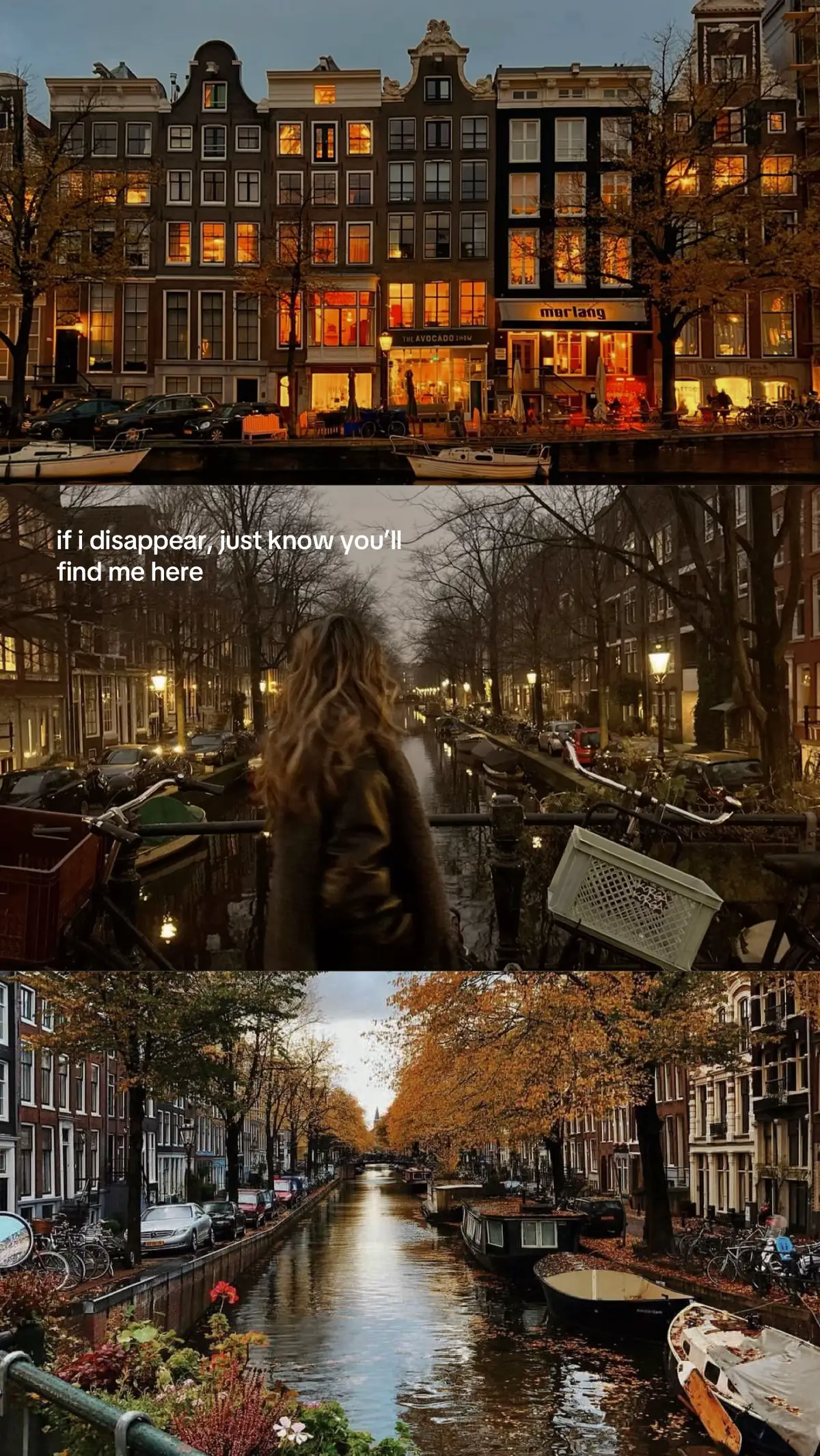 which city next? #amsterdam #amsterdamvibe #traveltok #fyp #doliansenior #ifidisappear #aesthetic 