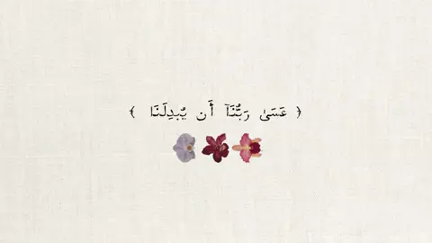 سورة القلم آية ٣٢ - ٣٩ 🤍 #اجر #قران_كريم #اجر_لي_ولكم #اجر_لي_ولكم_ولوالدينا_وللمسلمين #القران_الكريم #تلاوات_قرآنية #اذكروا_الله #ماهرالمعيقلي 