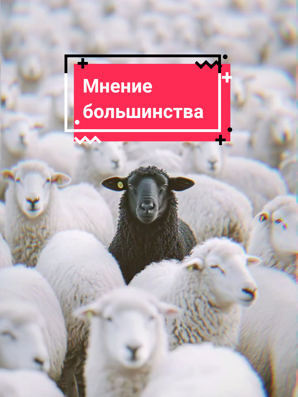 Актуально в наше время!? У каждого свой путь! #стадо #пробуждение #осознанность #философия 