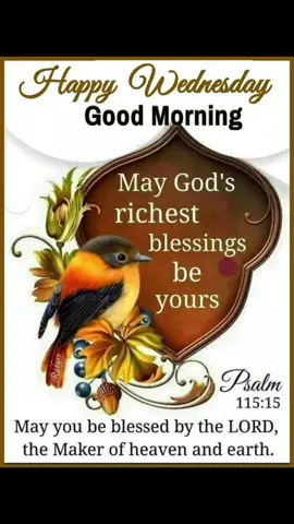 Wednesday morning Blessings #fyp #fypviral #morningwishes #####
