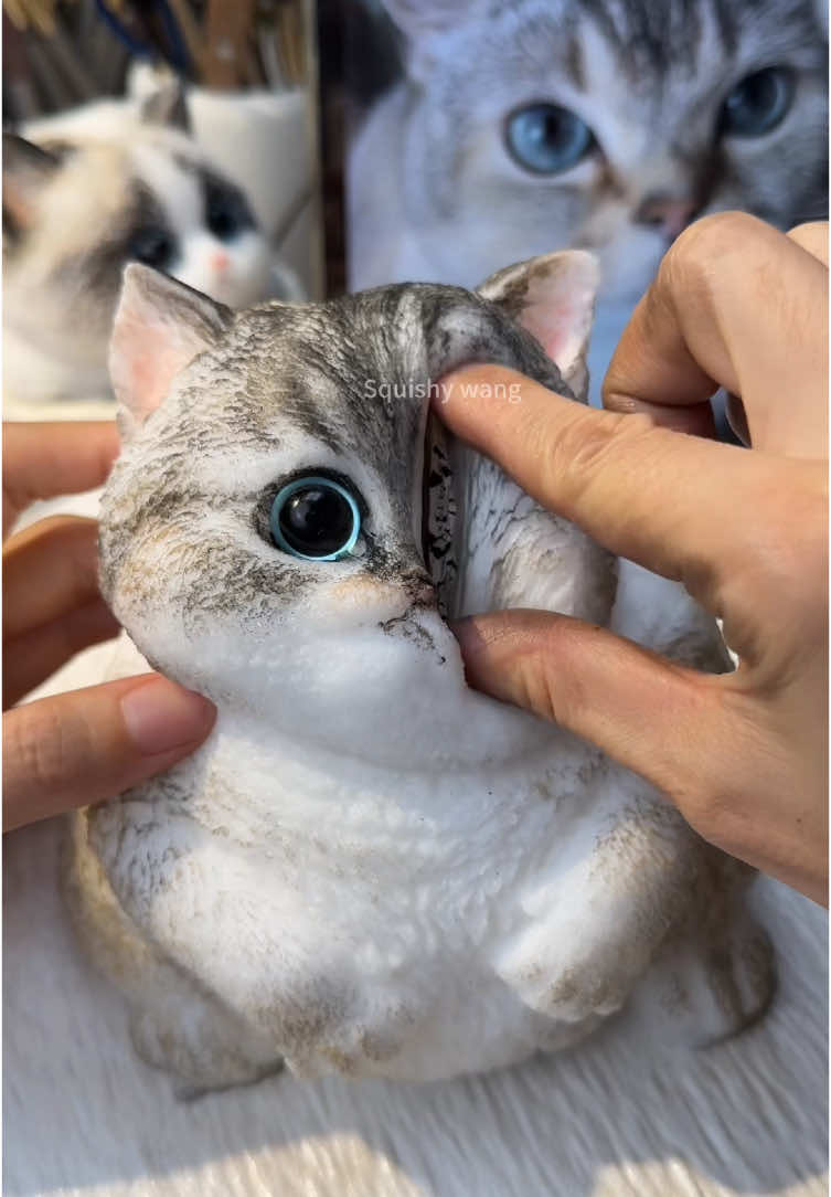Blue-eyed Sprite.#squishy #DIY #cat #handmade #kitty #art #dog #cute #custom #puppy #fy #foryou #craft #teddy #bird #ragdoll #painting 