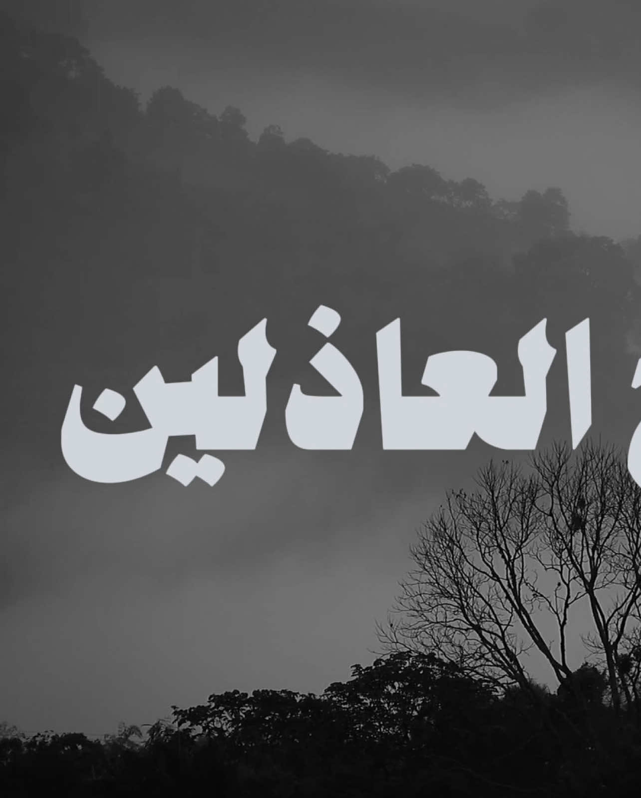 - تعال واحضن يدي .. 🤍🎧                         #محمد_عبده  #abdu 