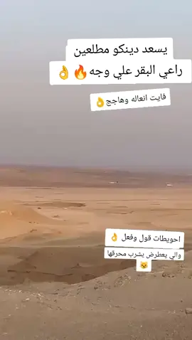 #وادي_الغر #احويطات_ولنا_في_قمه_المجد_رايات🇪🇬 #الدبور_حقل_تبوك_الاردن_دبور_مصر #اعادة_النشر🔃 #junedump #4thofjuly #july 