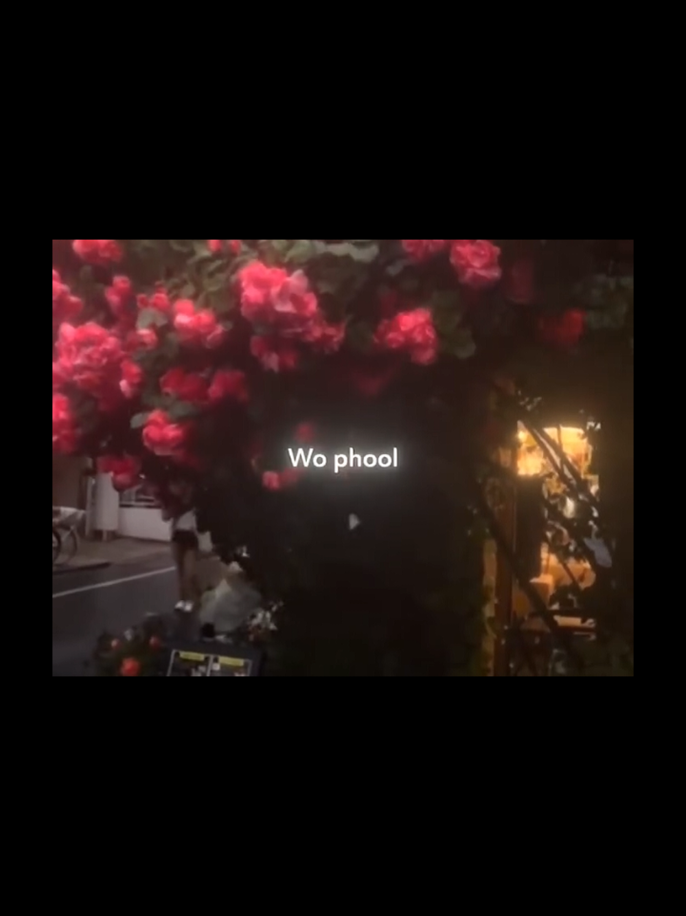 Wo phool mera tu..🌺 #fypシ゚ #fypageシ #fyppp #viral  #Love #musicvideo #fyp #music #lovesongs #jenniferl143 #lofimusic #Love #viralvideo #foryoupage #fyp #jenniferlawrence #aesthetic #brokenheart #bollywoodsongs #feel #shahrukhkhan #arijitsingh 