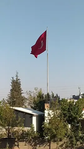 #kesfet #keşfetteyizzz #fypp #eyp #albayrak #türk #türkiyem🇹🇷🇹🇷🇹🇷 
