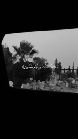 سورة الزمر 🖤#اليازي_قران #اجر_لي_ولكم #Quran #اذكار 