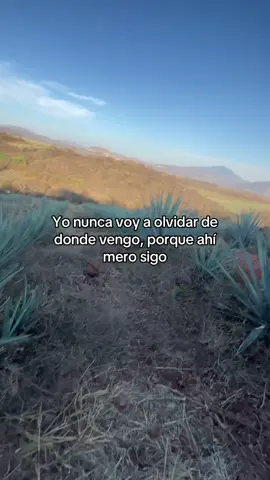 #viral_video_tiktok #hasteviral 