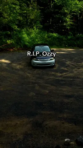 #fyp #viral #ozzyosbourne #ozzy #popular #rip 