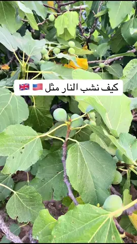 ٤ عبارات سهلة نوصف فيها إشعال النار حتى إطفاءها#english #انجليزي #englishteacher #trend 