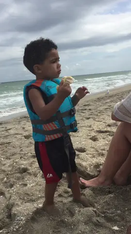 Attack of the seagulls.. they came for that Publix sub! #jet2holidays #beachvibes #seagulls #fail #jet2 #funnyvideos #publix #boymom #mamacita #throwback #florida @RJ✝️ @. 