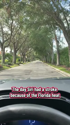 The heat is no joke! #florida #floridaheat #floridaweather #hotsummer #Summer #summertime #siri #gps #funny #funnyvideos #funnyaudio #fyp #foryoupage #creatorsearchinsights #tatcha #directions 