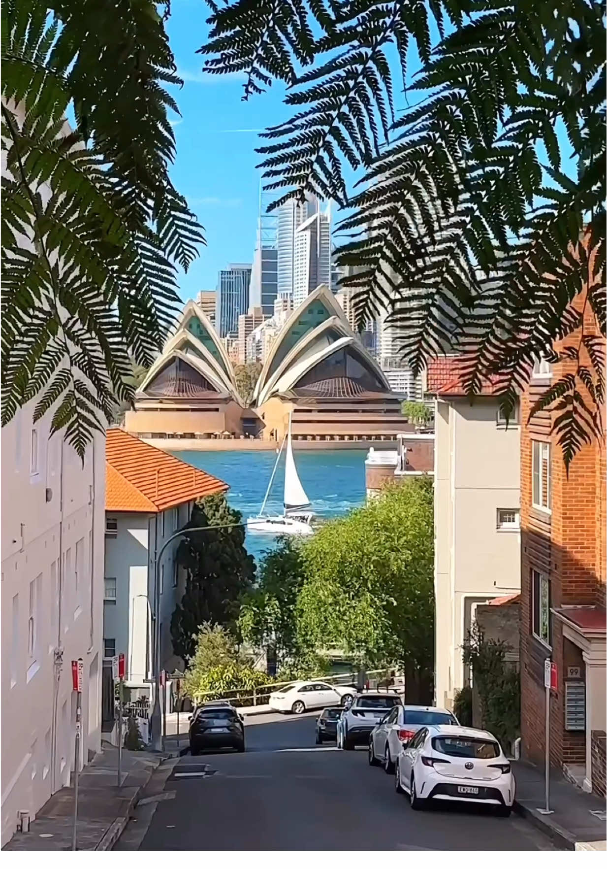 If you know, you know 👀💎 Sydney’s best-kept secret — hidden in the trees, hugged by nature, with that million-dollar view 🌿🕊️🌊 Opera House, Harbour, skyline… all in one.  #HiddenGem #SecretSydney #IYKYK #SydneyViews #FeelNewSydney #Kirribilli 