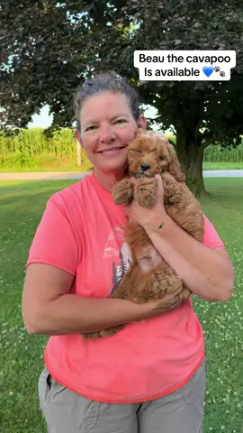 We have a cavapoo puppy looking for his forever home! Let us know if you’re interested 🥰🐾 #cavapoo #cavapoopuppy #cutenessoverload #puppies #fyp