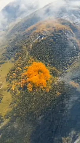 #earthzoomout 