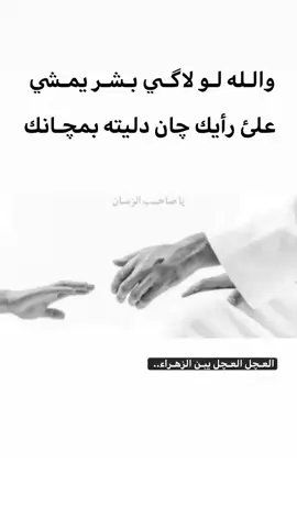لوعاات .. لوعاات.. #امجد_الشغانبي_رباح_العيساوي #ياعلي_مولا_عَلَيہِ_السّلام #ايران🇮🇷 #creatorsearchinsights #زينب_عليها_السلام #ياصاحـــب_الزمـــان #الحسين_ثورة_خالده #مجتبى_الكعبي 