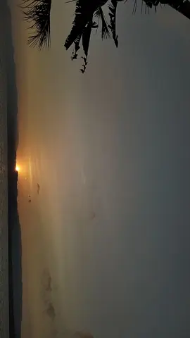 #sunrise #sunriseview #pagihari #pagiharistoryaesthetic #astrophile #astrophotography #timelapse #timelapsevideo #langitaesthetic #awan #fyp 