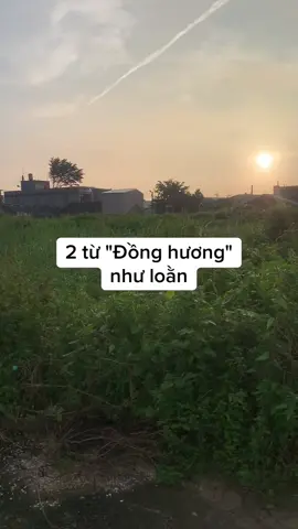 Đài loan hiểu nghĩa hai từ đồng hương