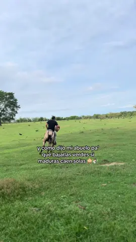 #viral #caballos #vallenato #parati 