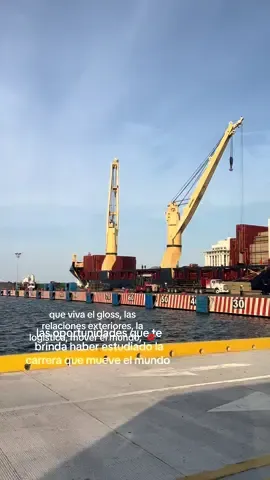 lo increíble que es vivir esto 🚢🌎🖇️#fyppppppppppppppppppppppp #logistica #containership #negociosinternacionales #comercioexterior #aduanas 